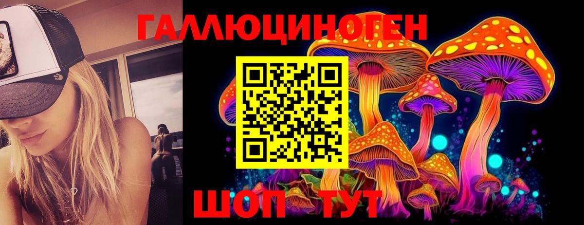 купить наркотики цена  Псилоцибиновые грибы Psilocybe  Вход с VPN  Галлюциногенные грибы Psilocybine cubensis  Приморско-Ахтарск 